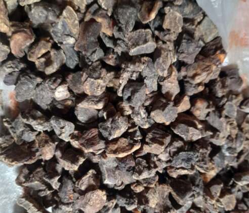 dried tinko Stock Food